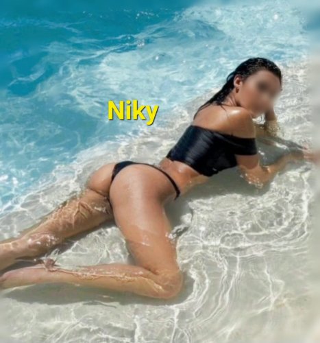 po-ct 16.-19.2. Niky