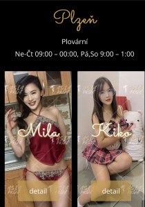 Asia Privat Plzen